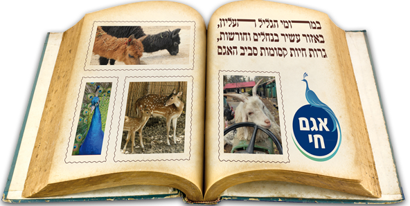 פסח באגם חי יראון