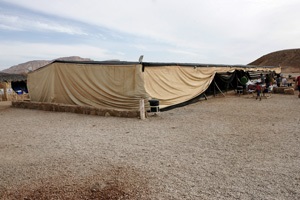 אוהל בדואי בחאן בארות