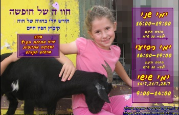 קיץ 2017 בחווה של חוה