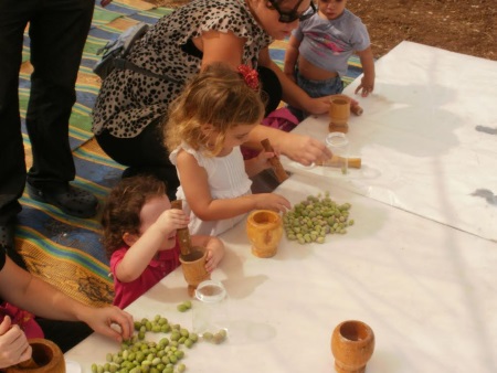 סוכות בחווה תל אביב
