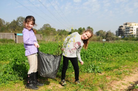 ט"ו בשבט בחווה תל אביב