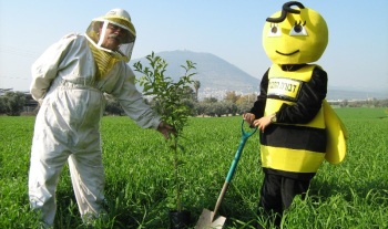 טו בשבט בדבורת התבור