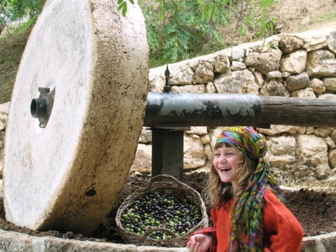 חנוכה בעין יעל