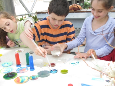 גן המדע מכון ויצמן מאי 2013