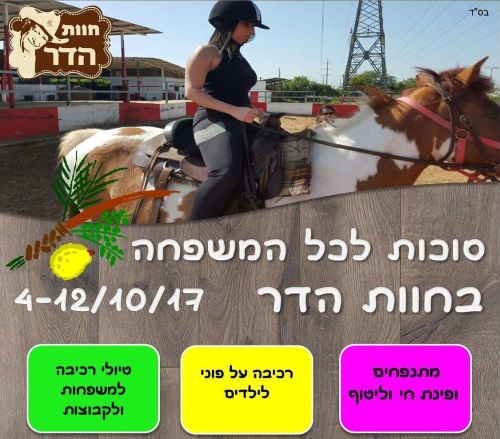 חוות הדר סוכות 2017