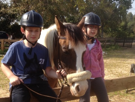 קייטנת חופש גדול 2015 רכיבה על סוסים חוות סוסי אדמה