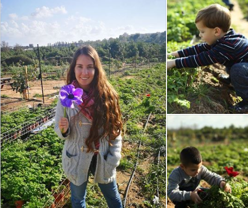 פרחים בעמק