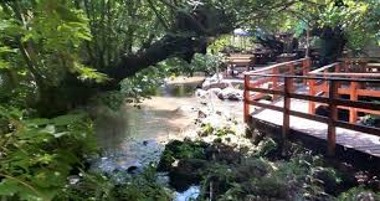 Race Master רייס מאסטר הוא מרוץ משימות בשילוב של אפליקציה