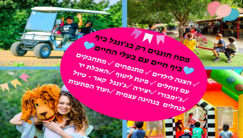 ג'ונגל כיף פעילות לכל המשפחה 