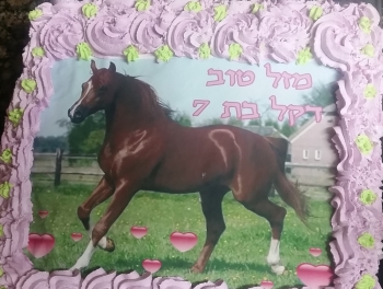 ימי הולדת לילדים בחוות הדר אתר לגדול