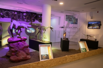 פארק קרסו למדע בתערוכת הדינוזאורים