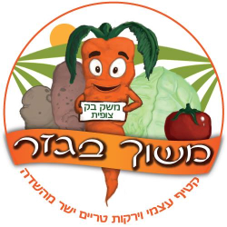 משוך בגזר קטיף עצמי של פירות וירקות, לגדול