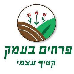 פרחים בעמק קטיף כלניות בביתן אהרון אתר לגדול