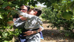 הפרדס הקסום