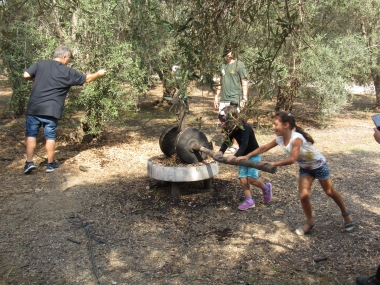 בית שמנא מושב חגור אטרקציה למשפחות אתר לגדול