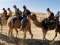 פסח בחאן השיירות: חוויה אתגרית