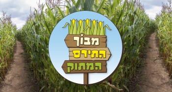 מבוך התירס המתוק 