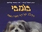 ספרי ילדים: בומבי הכלב שרדף אחרי תפוז