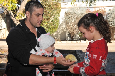 ברווזים בכפר פעילות לילדים