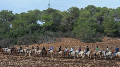 טיולי סוסים בחווית הרוכבים בצפון