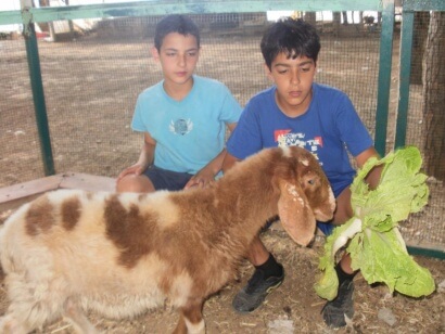 קייטנה בחי בר כוכב יאיר