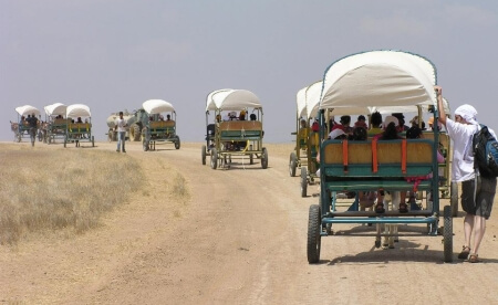 טיול כרכרות חוות פיליפ