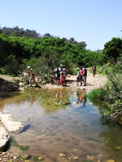 רשות הטבע והגנים מטיילים בטוח 