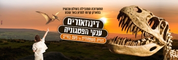 פארק קרסו סוכות