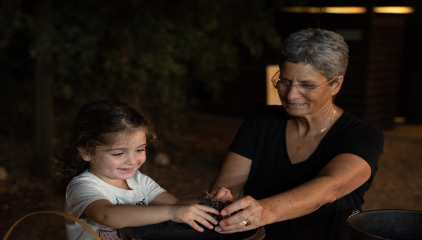 בוצרים ונהנים גם בלילה