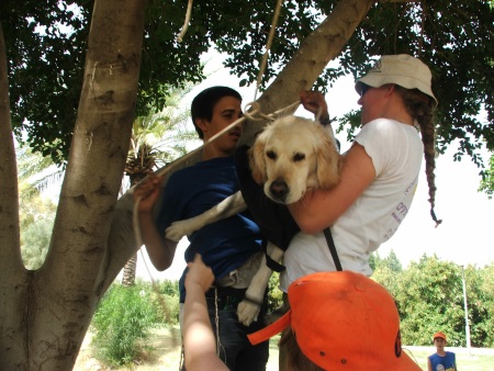 כלביית אפיקים, קייטנות לילדים, פעילויות לילדים