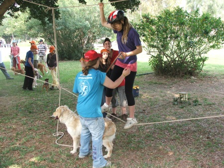 כלביית אפיקים, קייטנת כלבים 