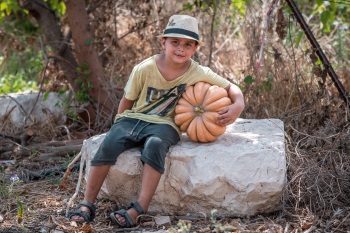 קטפותי הפנינג חגים