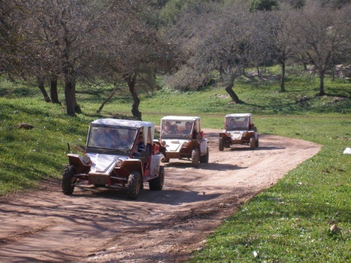 חווית הרוכבים בכרמל, חווית הרוכבים לילדים, רכיבה על סוסים לילדים בחופש הגדול