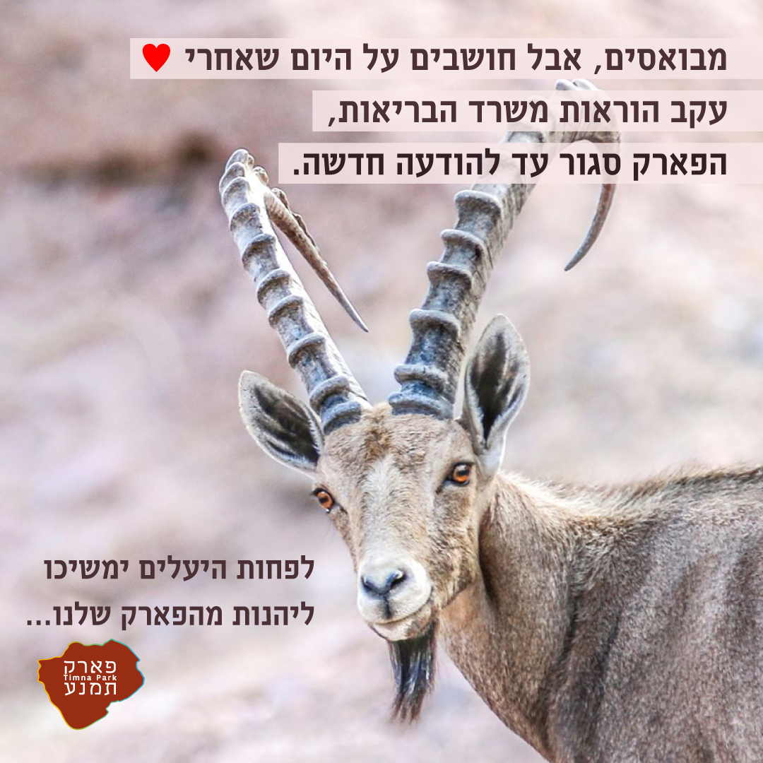 פארק תמנע, לגדול