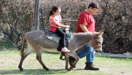 החווה בגבעה 