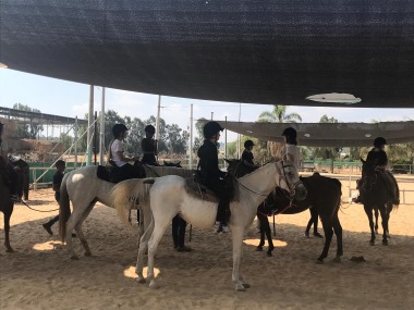 חוות המאלף קייטנת פסח 2019 אתר לגדול