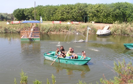 פארק אמת תנינים
