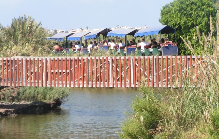 פארק אמת תנינים בית חנניה