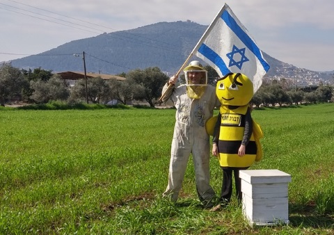 עצמאות בדבורת התבור