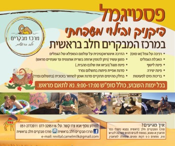 הפסטיגמל במרכז מבקרים חלב בראשית