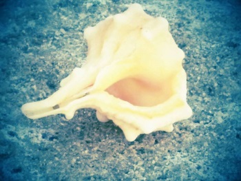 מוזיאון בית מרים פמחים, פעילות סוכות לילדים