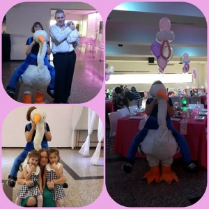 הפעלות לברית