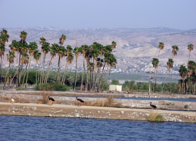 שדרת הטמפלרים ביו תור