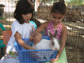 קייטנת קיץ 2018 בחווה בגבעה אתר לגדול