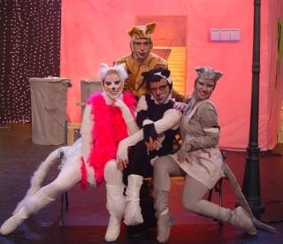 חלומות של חתולים, הצגת ילדים התיאטרון שלנו - אתר לגדול