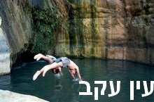 חאן השיירות