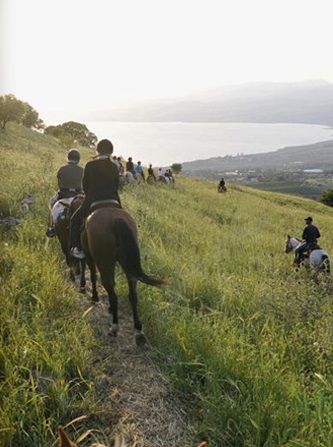 חווית הרוכבים, טיולים בטבע למשפחות,  טיולי סוסים בצפון, טיולי סוסים בכרמל