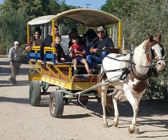 חוות יעל מושב גיאה