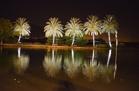 דג בכפר דייג לילי