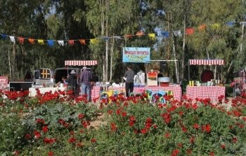 דרום אדום